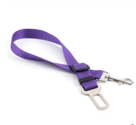 Dog Training Leashes Pet Supplies Walking Harness Collar Leader Rope for Dog or Cat Walking Training