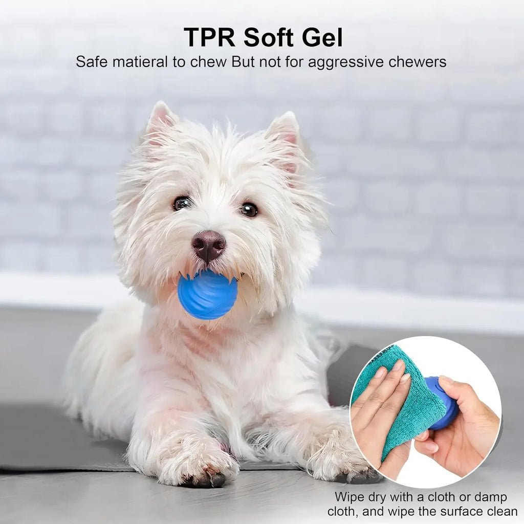 Interactive Cat & Dog Ball, Auto-Moving Electric Cat & Dog Toy Ball, Electronic Auto Rolling, Cat & Dog Toy, USB Charging