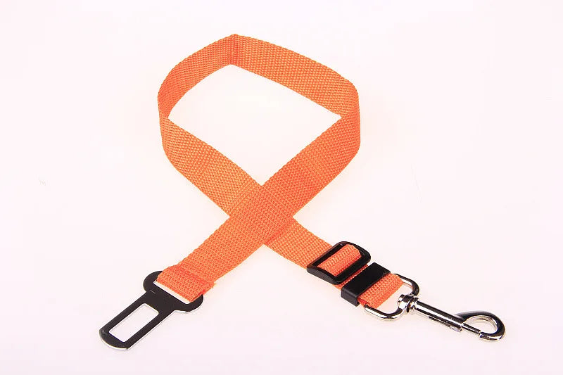Dog Training Leashes Pet Supplies Walking Harness Collar Leader Rope for Dog or Cat Walking Training