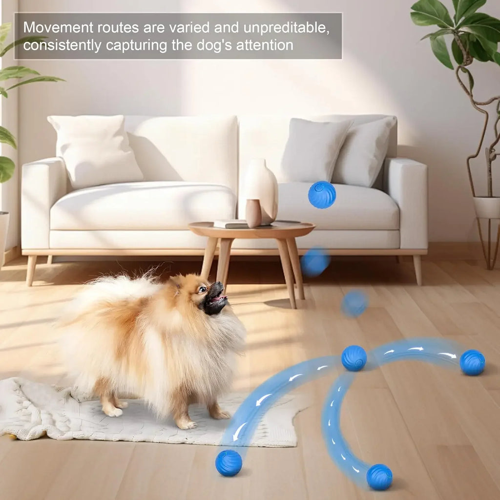 Interactive Cat & Dog Ball, Auto-Moving Electric Cat & Dog Toy Ball, Electronic Auto Rolling, Cat & Dog Toy, USB Charging