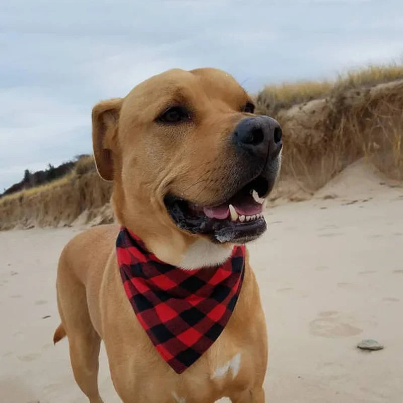 Cotton Big Dog Bandanas Bibs for Medium Large Dogs Classic Plaid Pet Triangle Scarf Golden Retriever mascotas Stuff Accessories