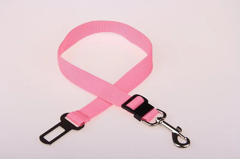 Dog Training Leashes Pet Supplies Walking Harness Collar Leader Rope for Dog or Cat Walking Training